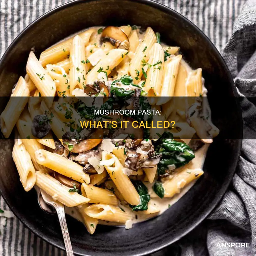 what is mushroom pasta called