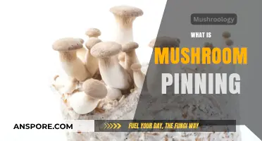 Mushroom Pinning: A Unique Cultivation Method
