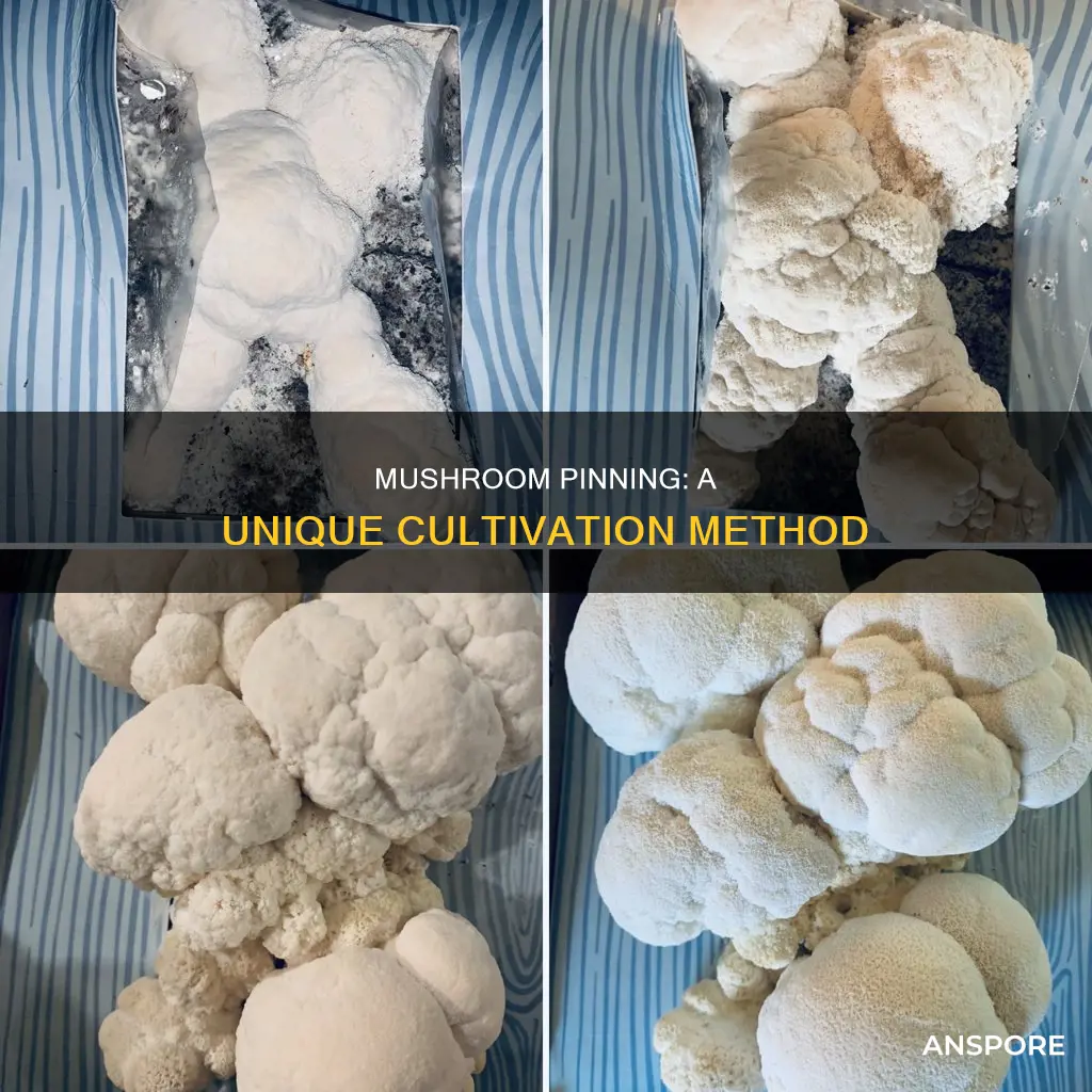 what is mushroom pinning