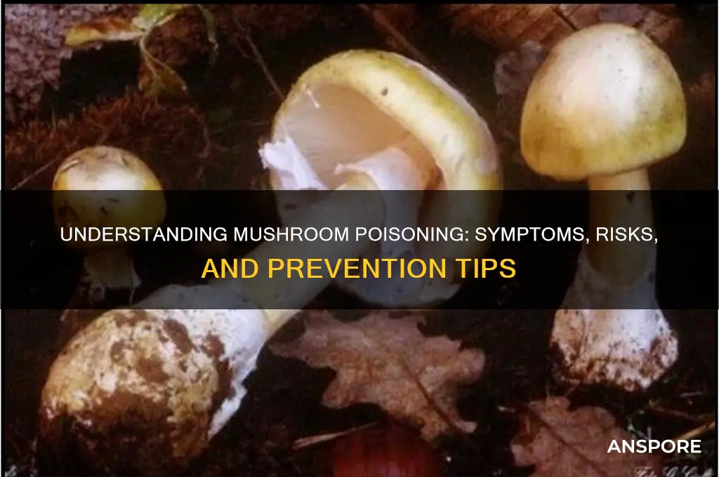 what is mushroom poisoning