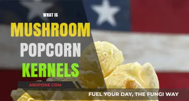 The Magic of Mushroom Popcorn Kernels
