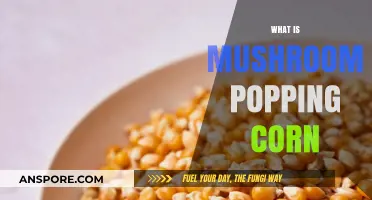 Mushroom Popcorn: What's the Difference?