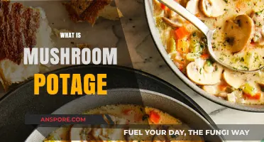 Mushroom Potage: A Hearty Soup for All Seasons