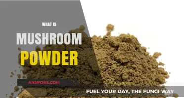 Mushroom Powder: Superfood Boost for Your Health