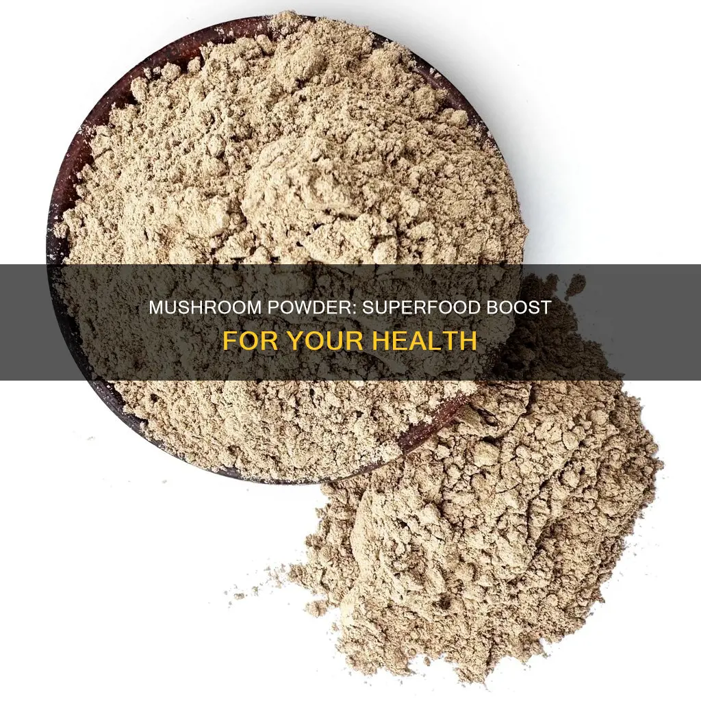 what is mushroom powder