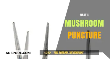 Mushroom Puncture: A Natural Healing Technique