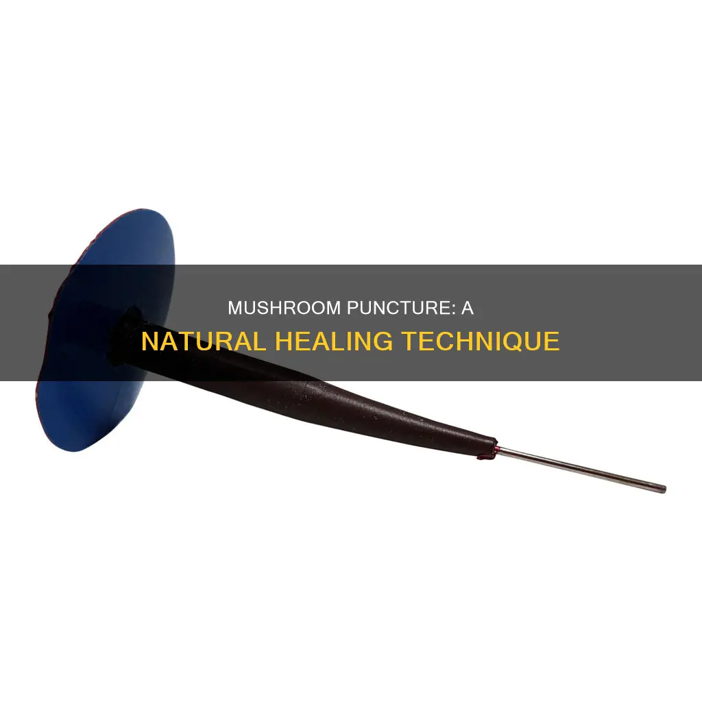 what is mushroom puncture