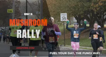 Mushroom Rally: The Ultimate Racing Experience