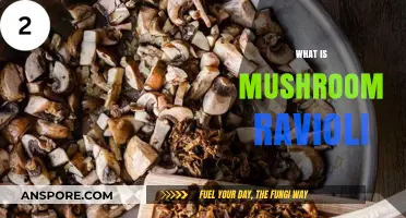 Mushroom Ravioli: A Delicious Italian Dish
