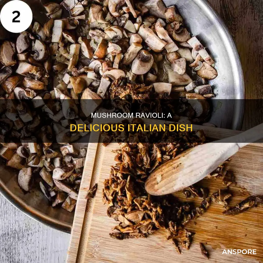what is mushroom ravioli