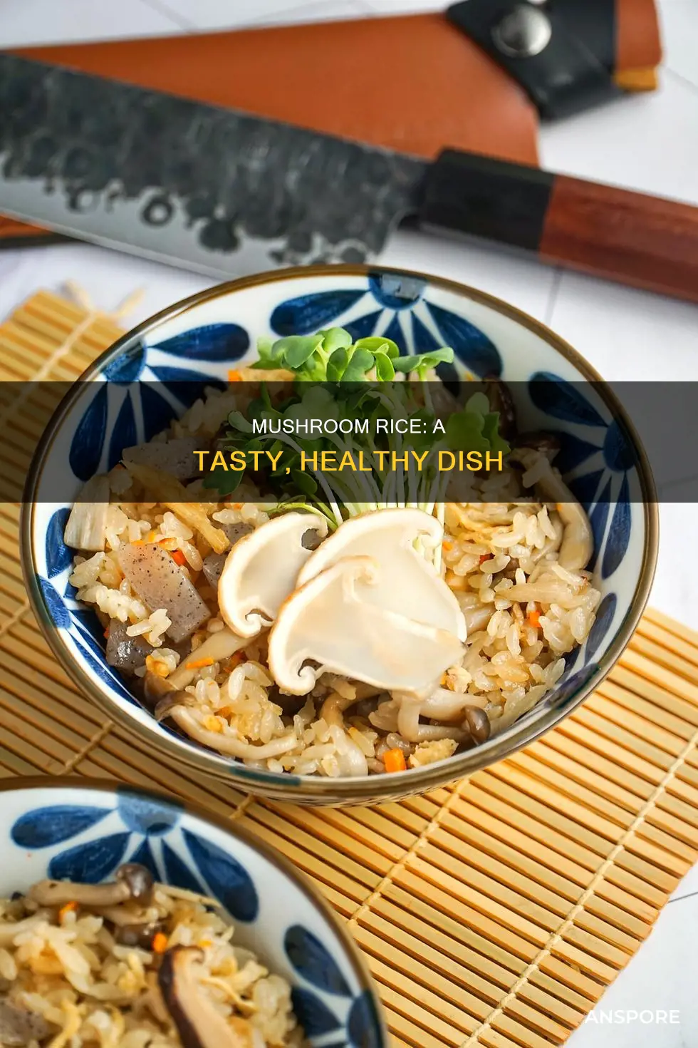 what is mushroom rice