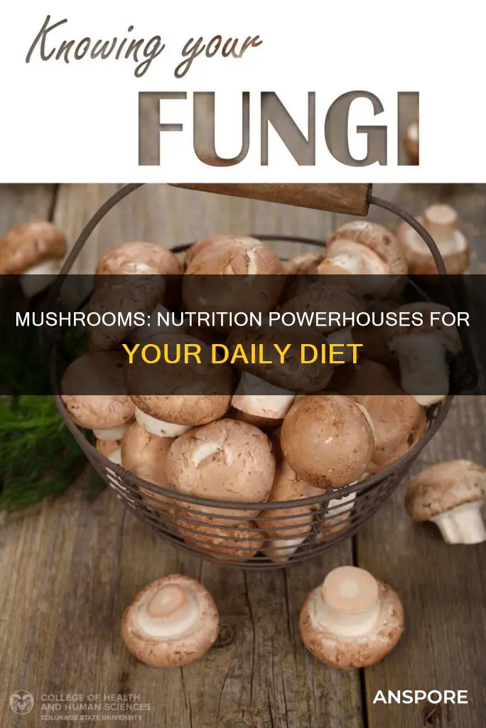 what is mushroom rich in