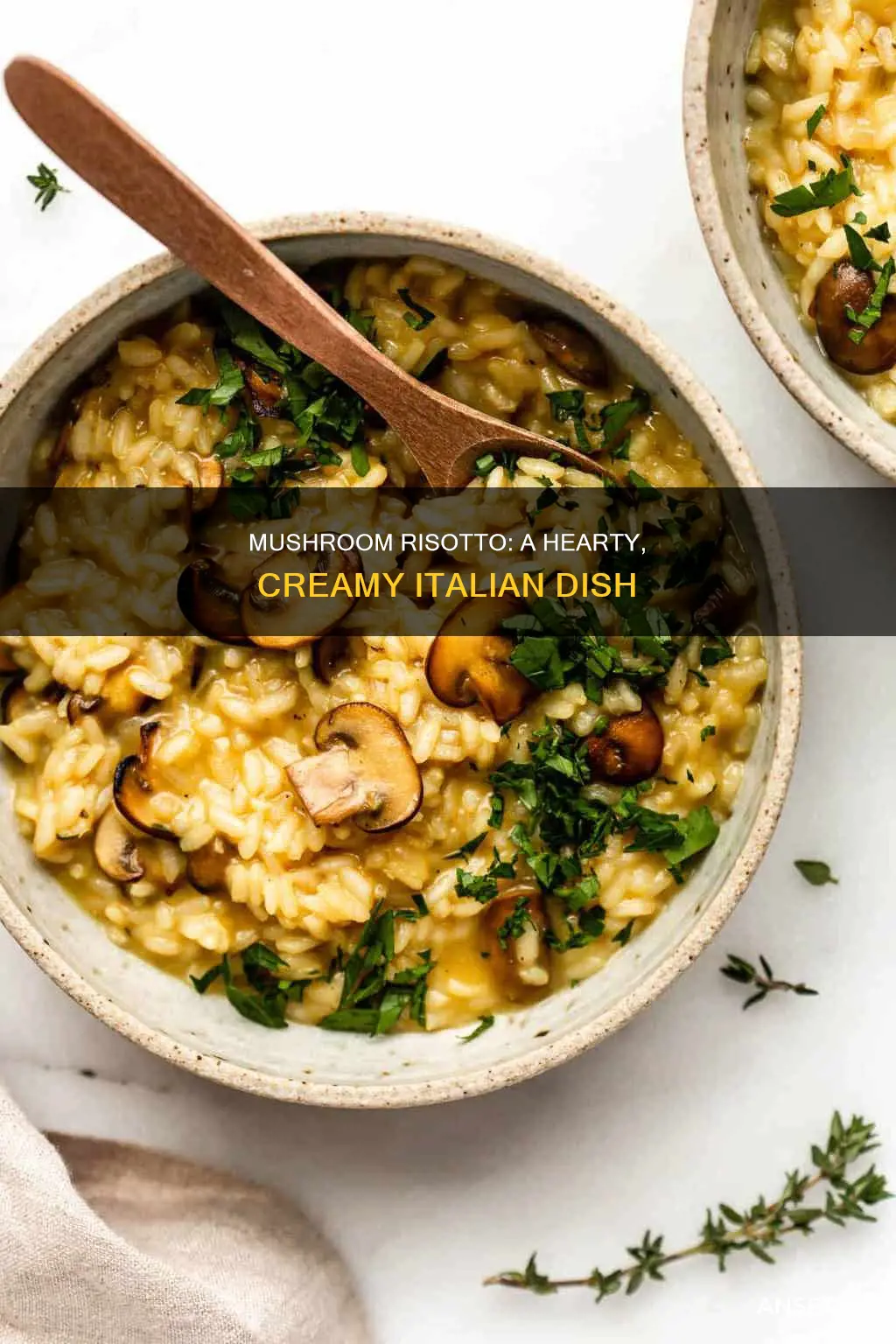 what is mushroom risotto