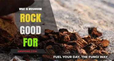 Mushroom Rock Benefits: Uses, Healing Properties, and Practical Applications