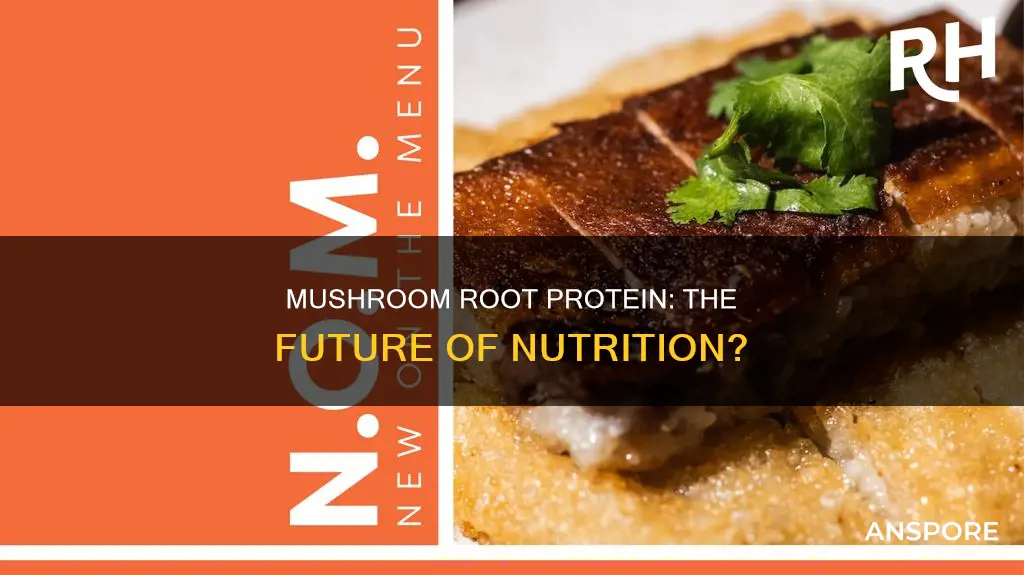 what is mushroom root protein