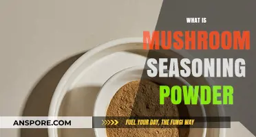 Explore the Magic of Mushroom Seasoning Powder