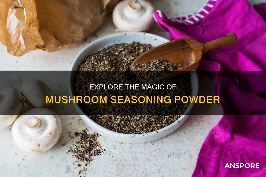 what is mushroom seasoning powder