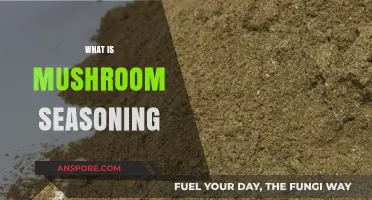 Mushroom Seasoning: The Ultimate Umami Flavor