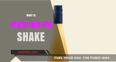 Mushroom Shakes: Nature's Superfood Blend