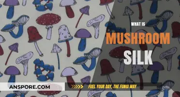 Mushroom Silk: The Sustainable Fabric of the Future