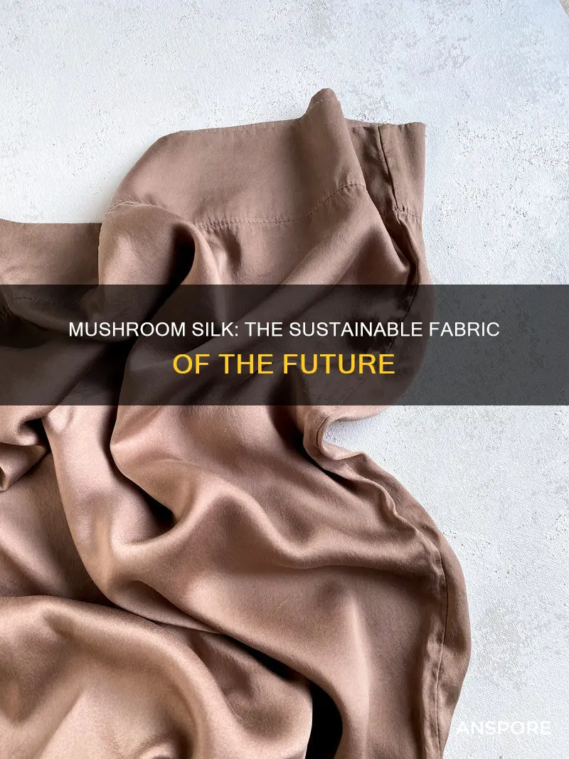 what is mushroom silk