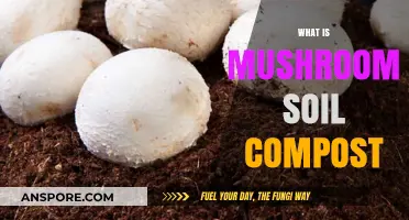 Mushroom Soil Compost: Benefits and Uses