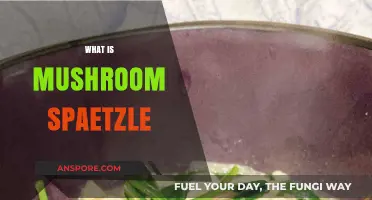 Spaetzle Comfort: Mushroom Spaetzle Recipe