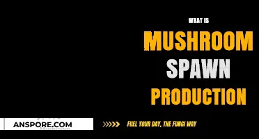 Mushroom Spawn Production: A Beginner's Guide