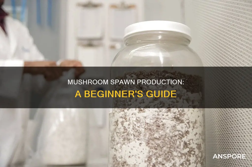what is mushroom spawn production
