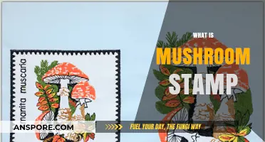 Mushroom Stamp: The Ultimate Guide