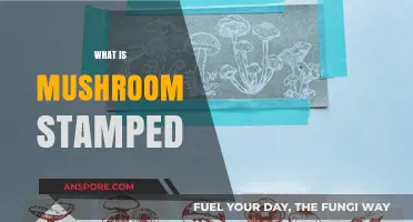 The Magic of Mushroom-Stamped Leather