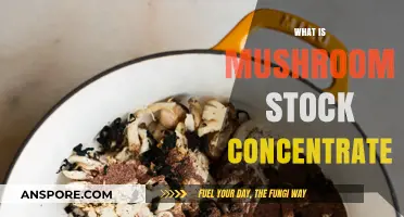 Mushroom Stock Concentrate: Supercharge Your Cooking