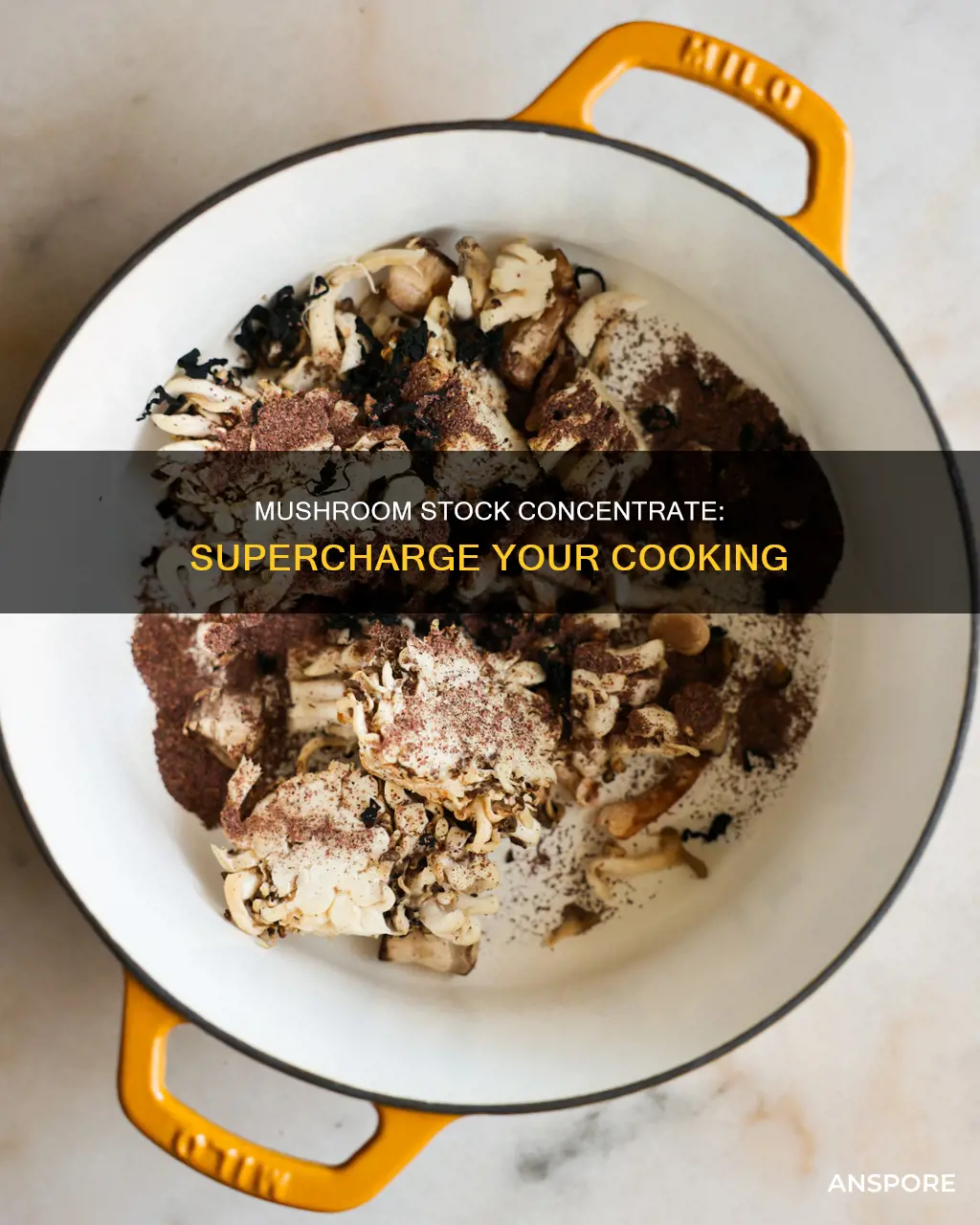 what is mushroom stock concentrate
