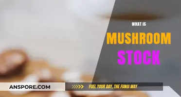 Mushroom Stock: A Savory, Umami-Rich Broth