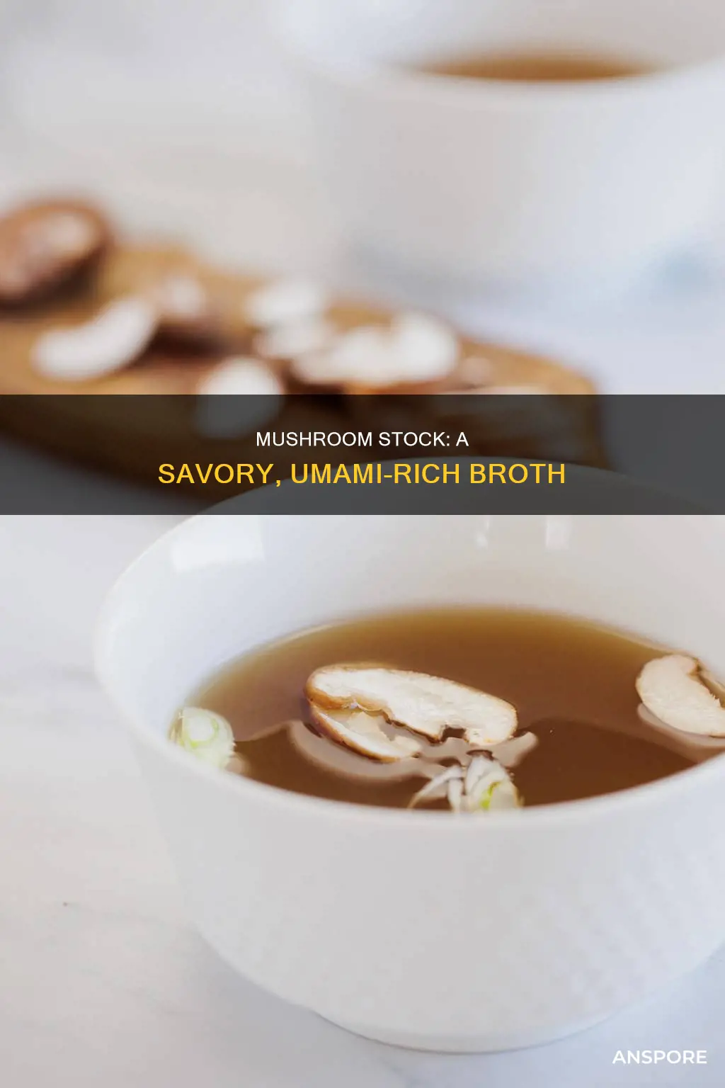 what is mushroom stock