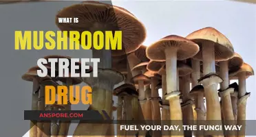 Mushroom Street Drug: What's the Deal?