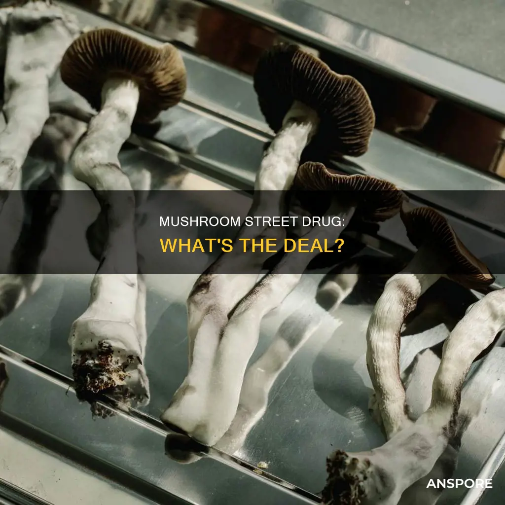 what is mushroom street drug