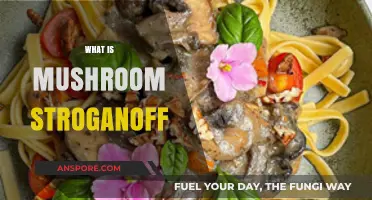 Mushroom Stroganoff: A Hearty Russian Classic