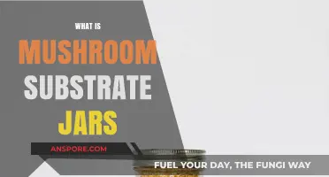 Mushroom Substrate Jars: What Are They?