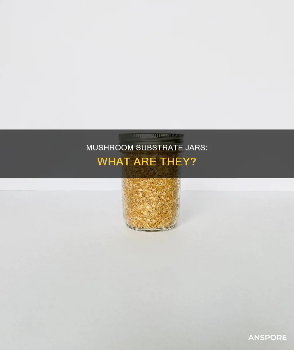 what is mushroom substrate jars