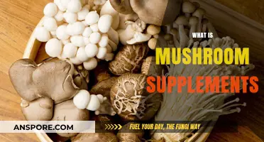 Mushroom Supplements: Nature's Superfood Boost