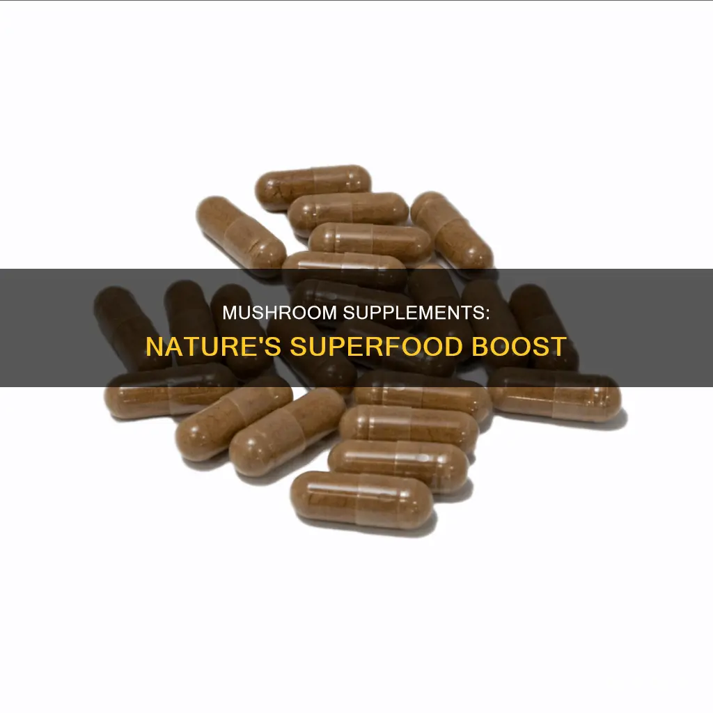 what is mushroom supplements