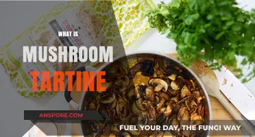 Mushroom Tartine: A Delicious Open-Faced Sandwich