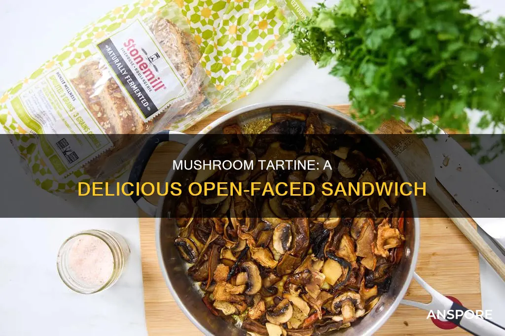 what is mushroom tartine