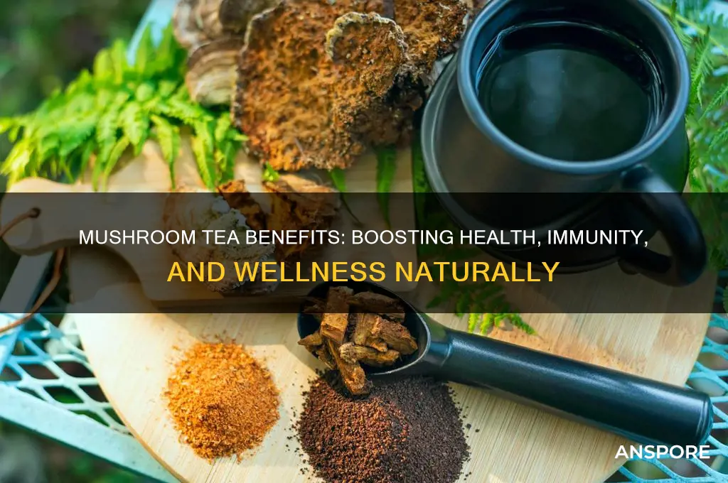 what is mushroom tea good for