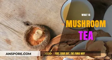 Mushroom Tea: Ancient Brew, Modern Benefits