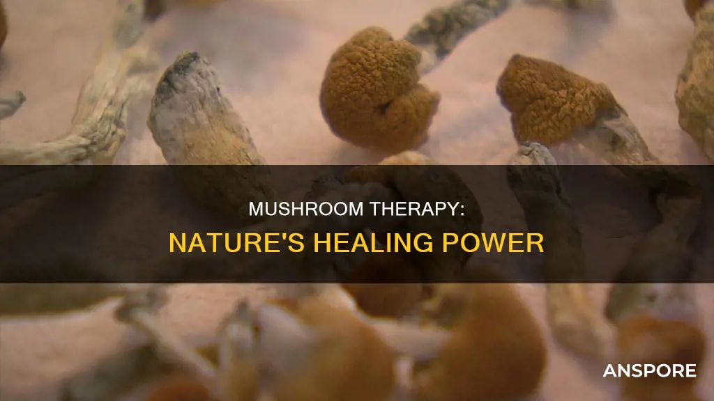 what is mushroom therapy