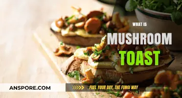 Mushroom Toast: A Savory Breakfast Treat