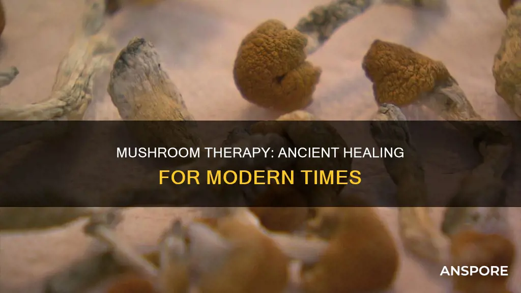 what is mushroom treatment