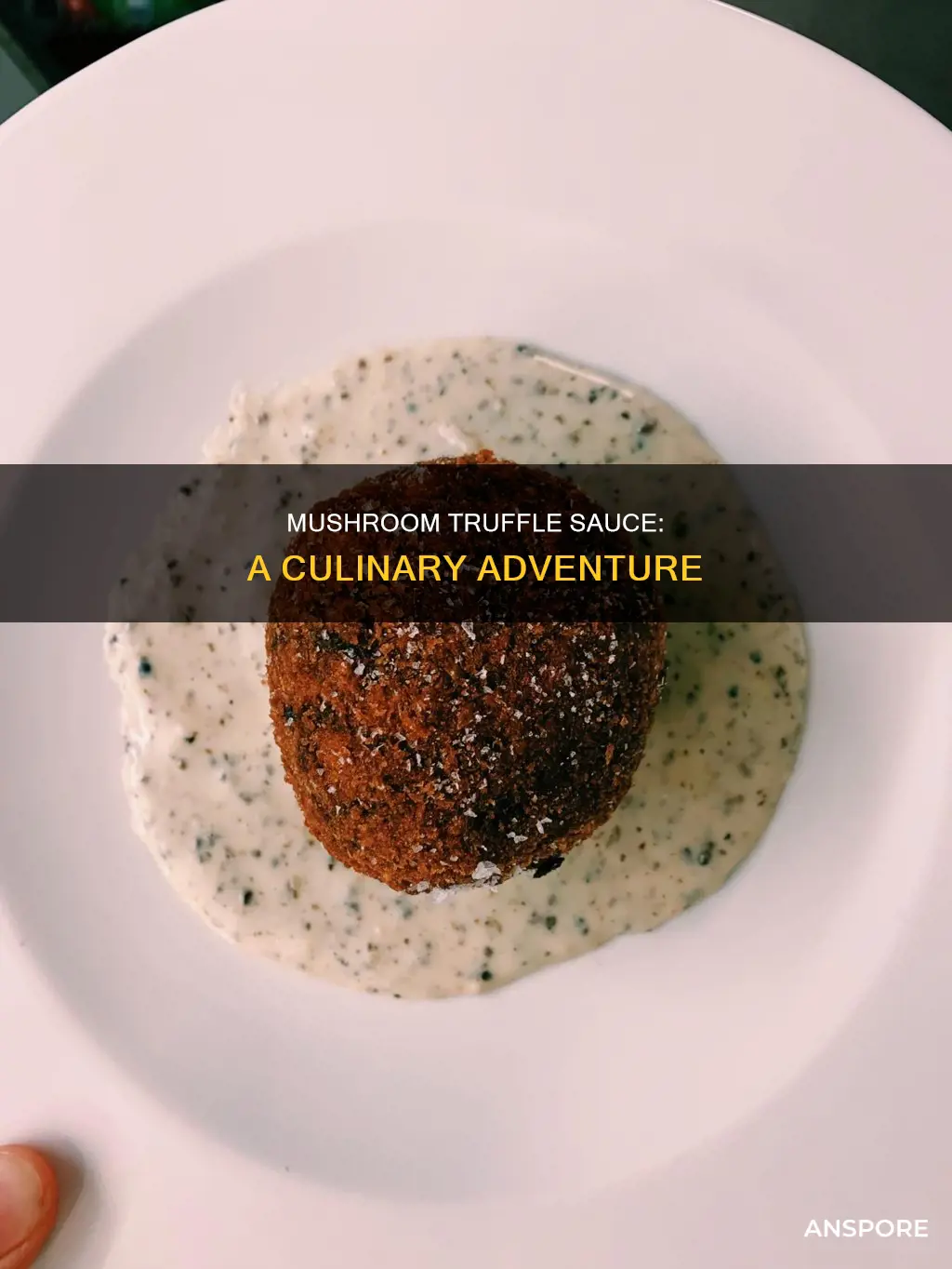 what is mushroom truffle sauce